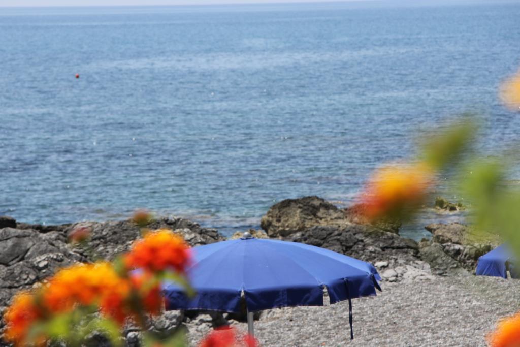Mediterraneo